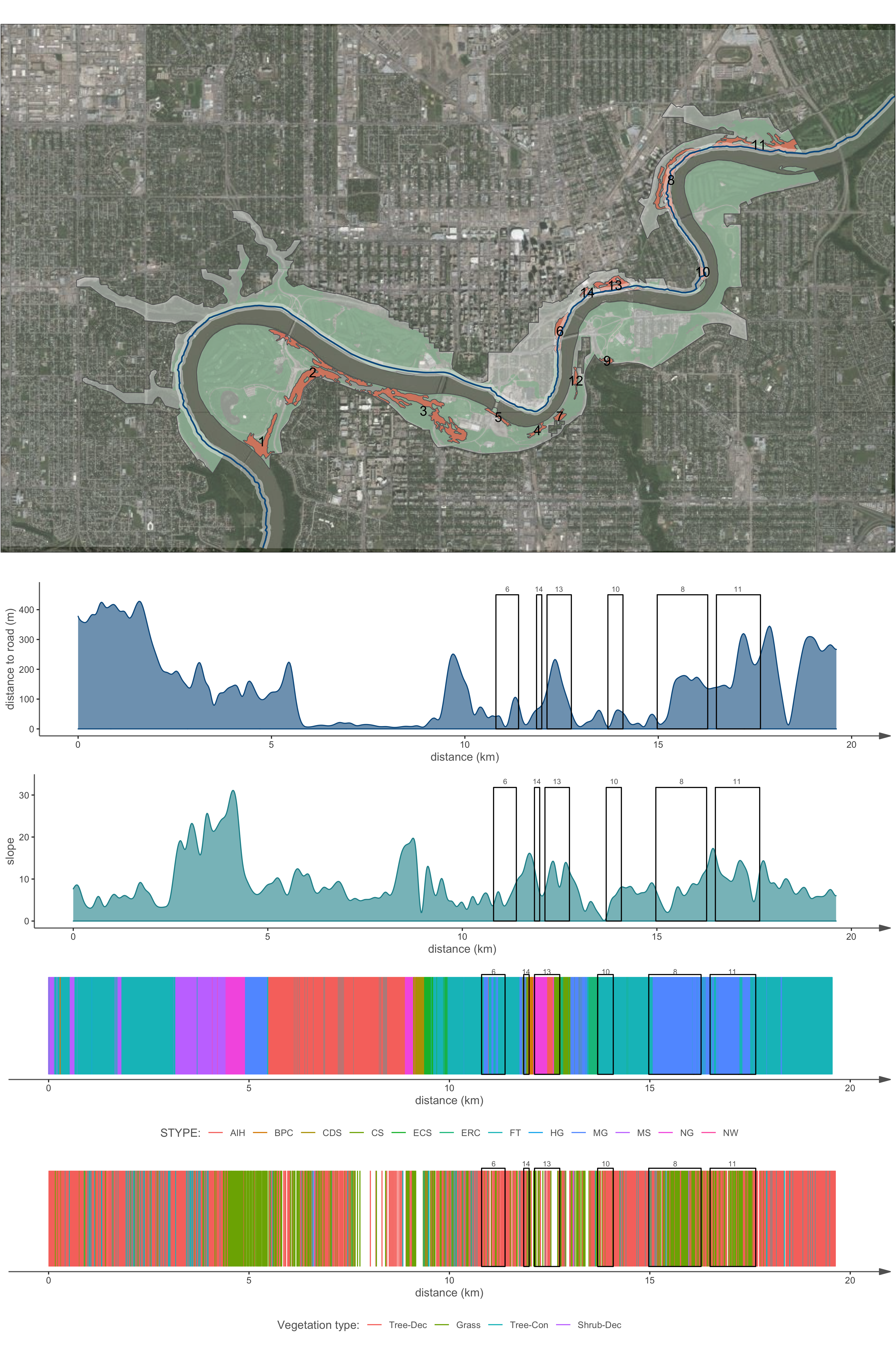 Cross-section map.