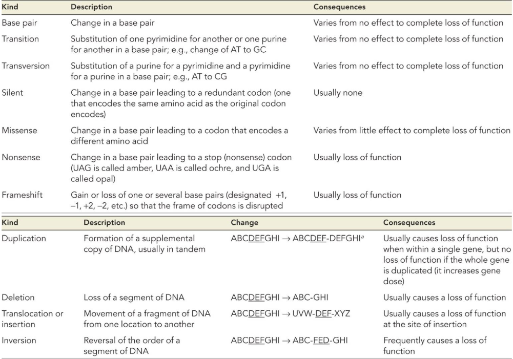 Types of Mutations