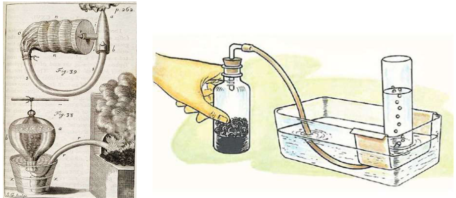 The Pneumatric Trough from *Vegetable Staticks*