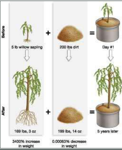 van Helmont's Willow Tree Experiment