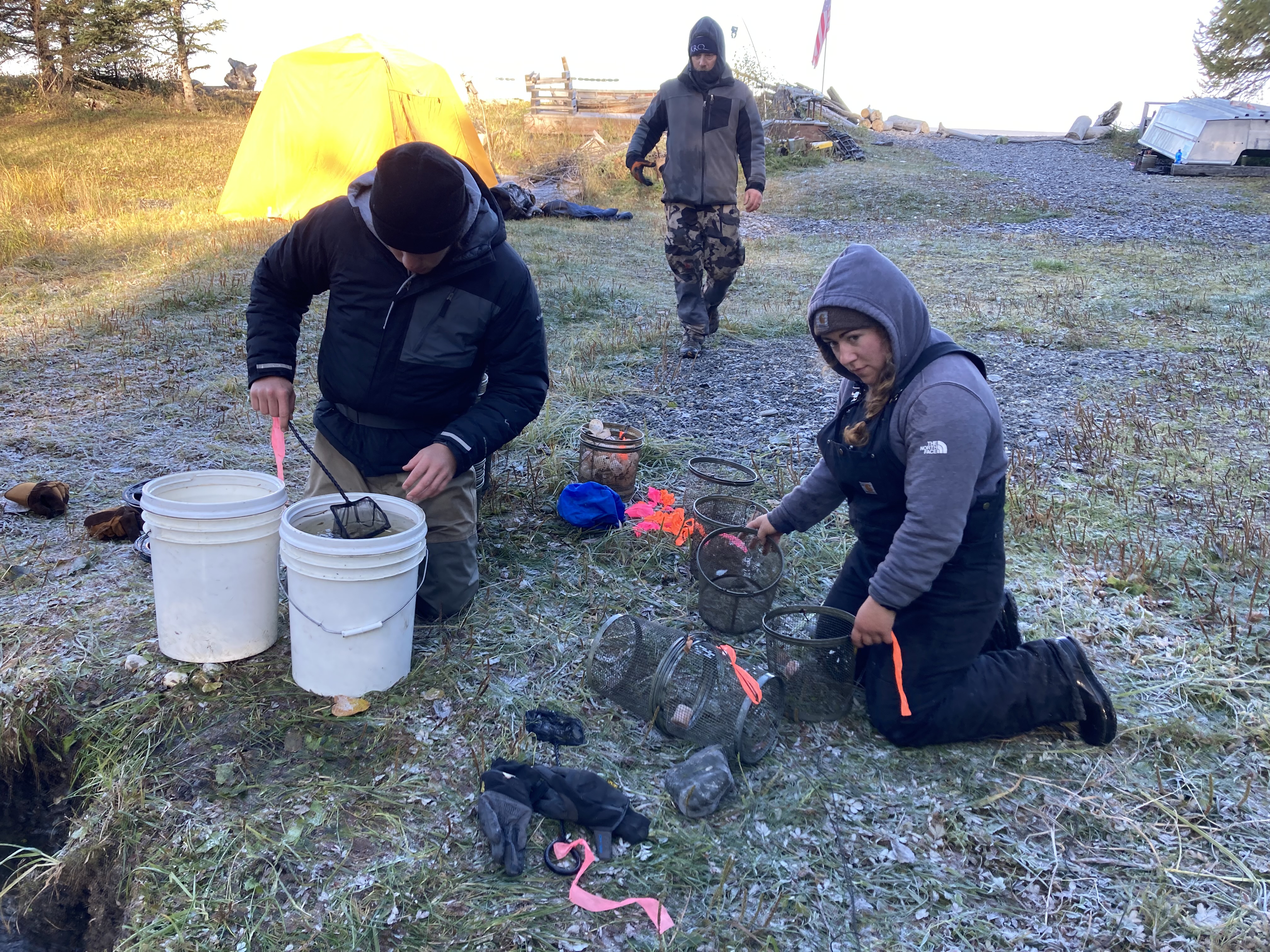 Fish processing site