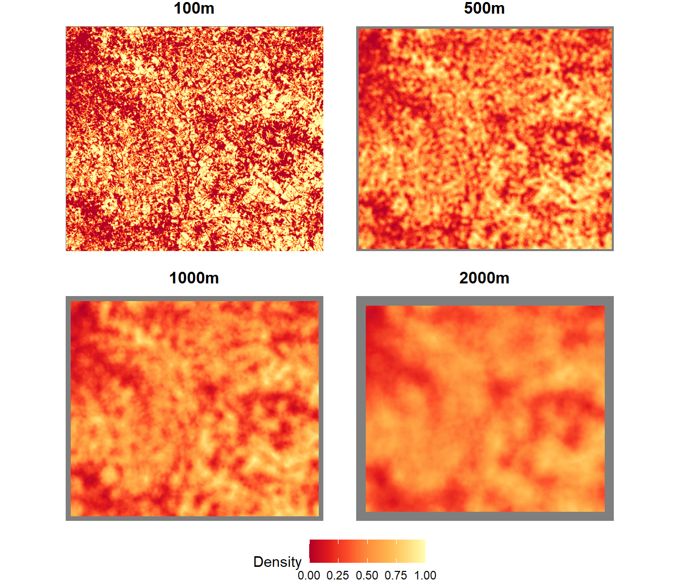 Forest density summarized as a focal mean within different-sized circular windows.