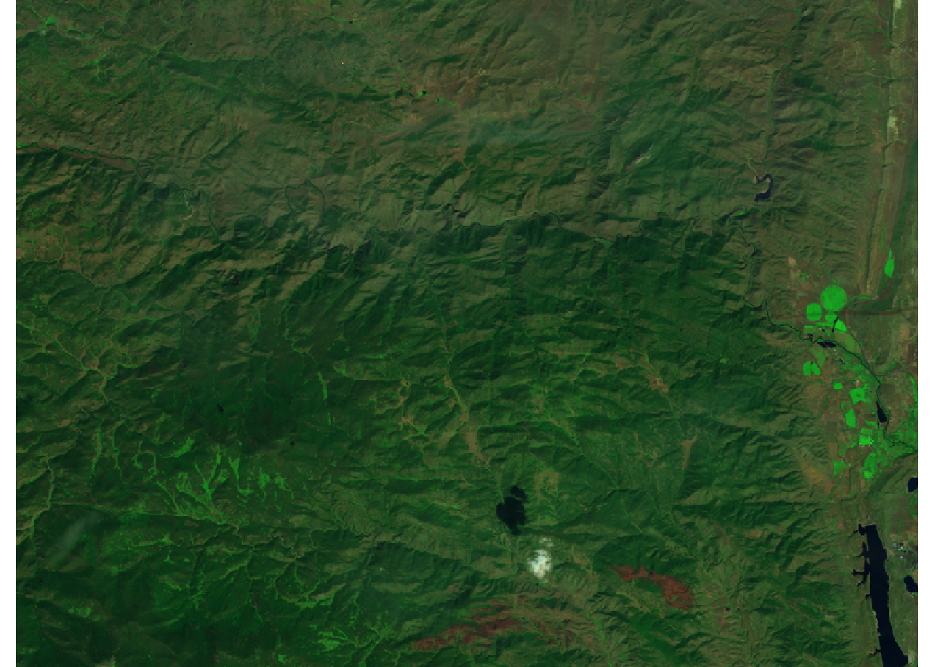 False-color image of 2011 pre-fire vegetation condition on the High Park fire.