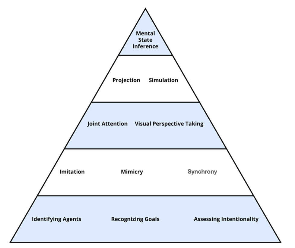 Some of the major tools of theory of mind, with the bottom showing simple, automatic, early developing processes, and the top showing complex, more deliberate, late developing processes.