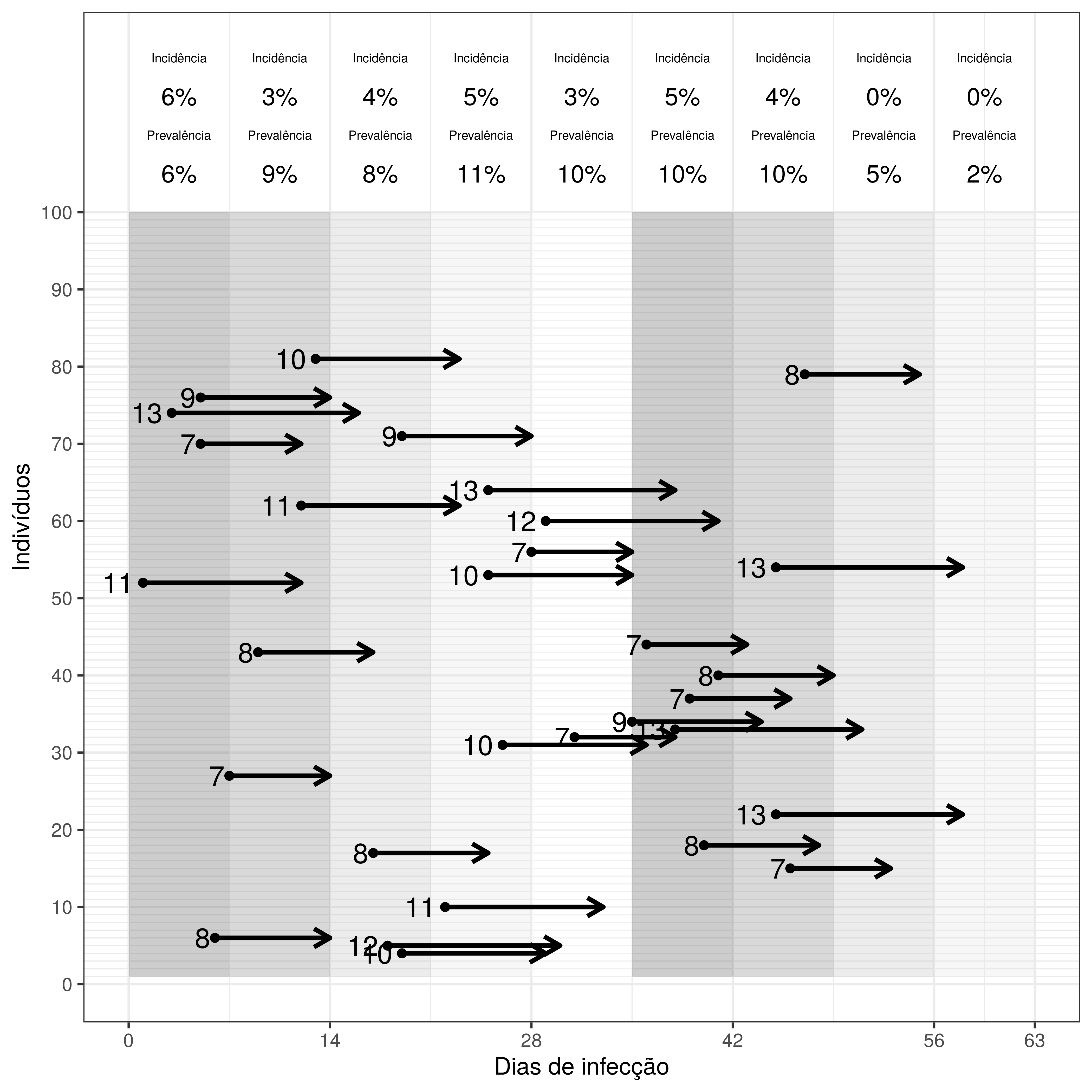 Experimento com desenho Transversal para avaliação de prevalência em uma população hipotética com 100 animais. A doença clínica (setas horizontais) pode variar entre 7 até 15 dias, estando cada valor indicado ao lado das setas. As faixas verticais representam estações de coleta diferentes, com duração de 7 dias. Note que a prevalência pode oscilar entre as estações de coleta, assim como a incidência percebida em cada uma delas.