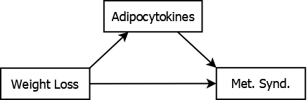Adipocytokines mediating the association between weight loss and metabolic syndrome